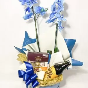 Orquídea Phalaenopsis Azul + Cachepô de Kraft decorado + Ferreiro Collection + Bebida Alcoólica LassBerg