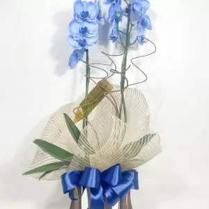 Orquídea Phalaenopsis Azul + Cachepô de madeira decorado
